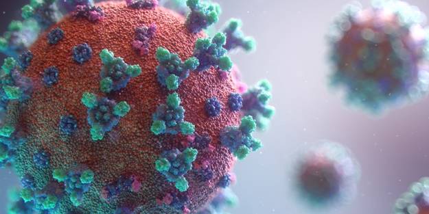 Otopsiler incelendi! '230 güne kadar...'