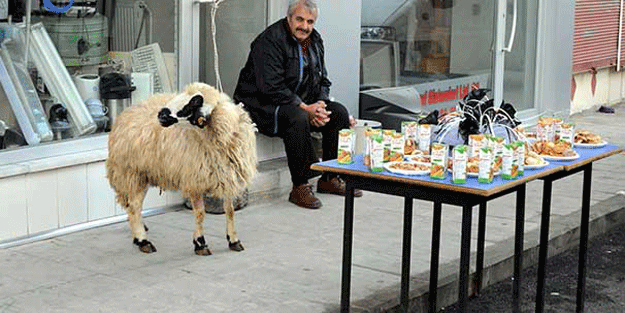 Öyle bir icat yaptı ki… Saatlerce onları böyle bekledi