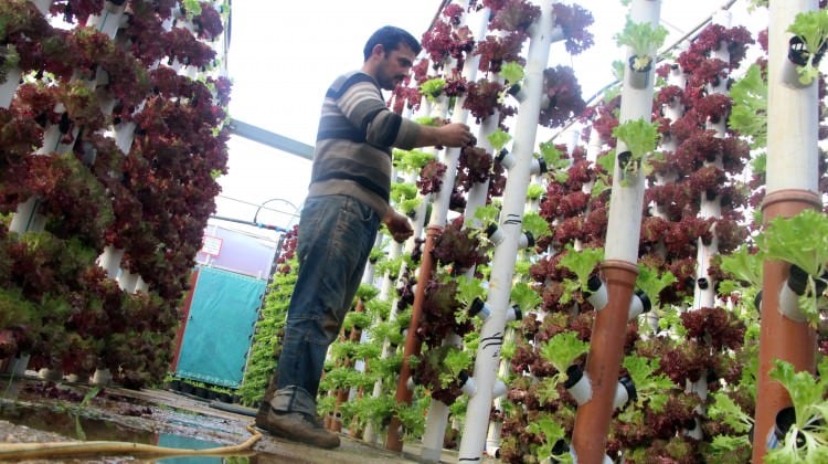 Öyle bir iş yapıyor ki servetine servet katıyor