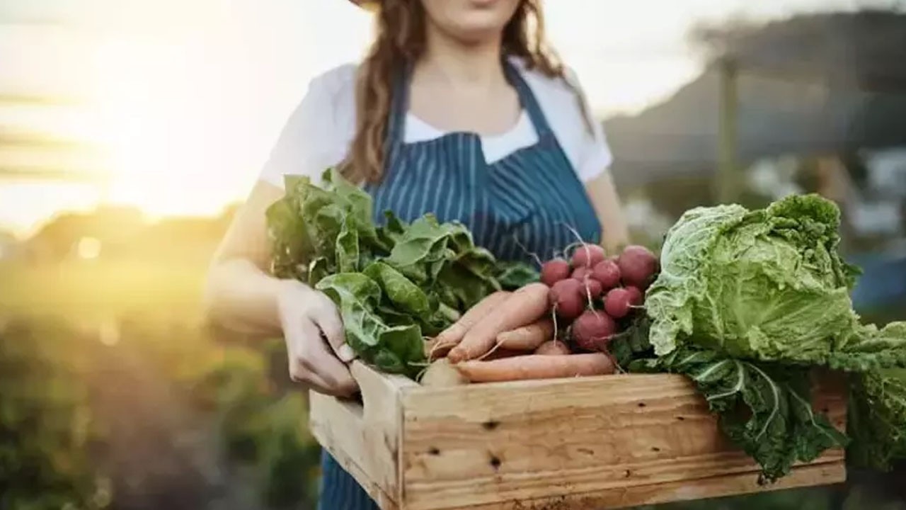Öyle bir şey yaptı ki... Sonbaharda detoks etkili süper besinler faydaları say say bitmiyor