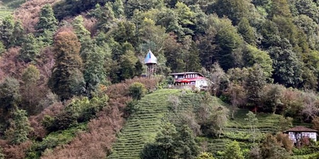 Öyle bir yere öyle bir ev yaptı ki...