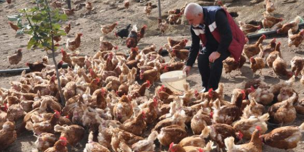 Öyle bir yöntem buldu ki üretim 5 kat arttı, siparişlere yetişemiyor!