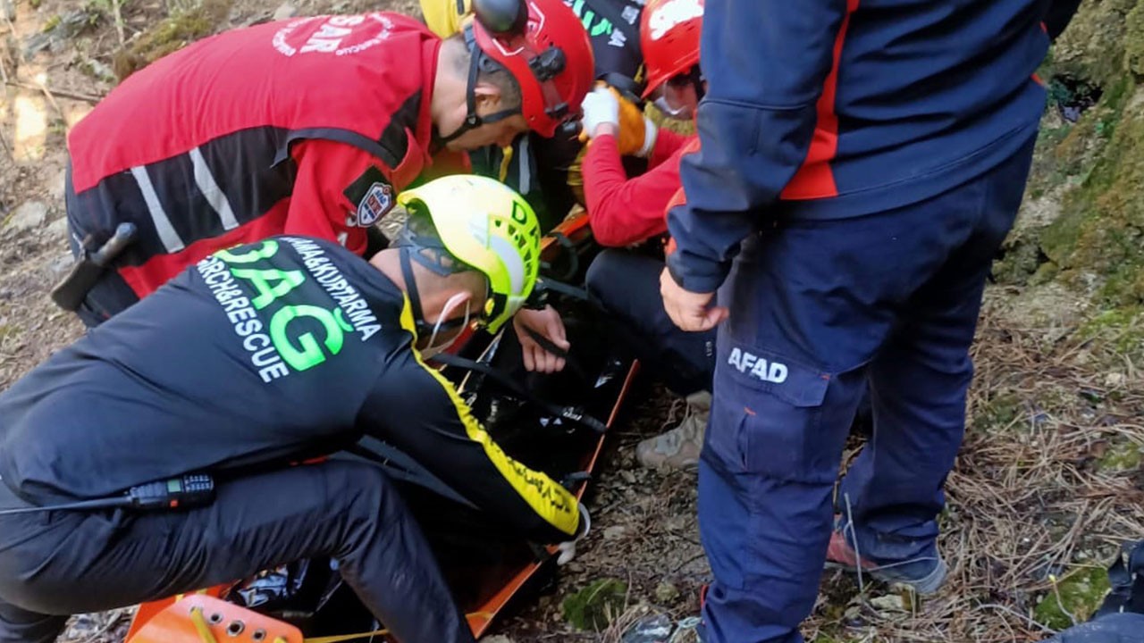 Oysa mantar toplamaya gitmişti! Cansız bedeni bulundu