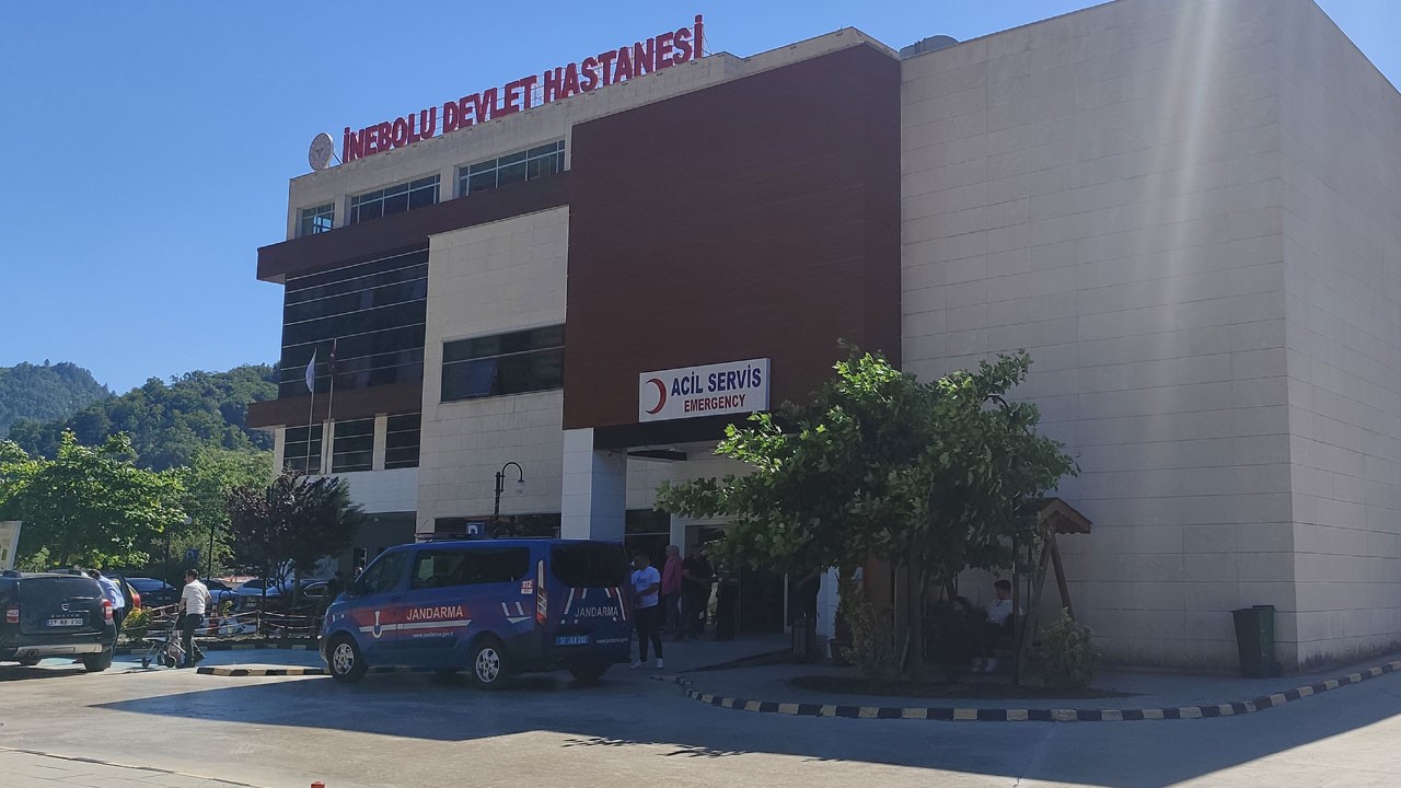 Oysa sadece üzüm yaprağı toplamak istemişti!