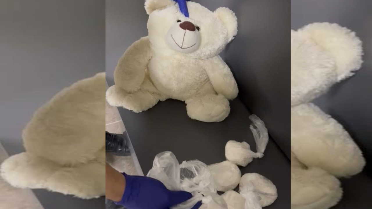 Oyuncak ayı içinden uyuşturucu çıktı