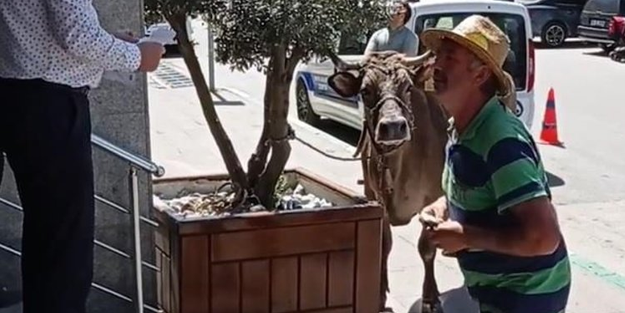 ‘Mağdurum’ diyen çiftçiye bak sen! Meral’e ve Kemal’e yeni oyuncu bulundu