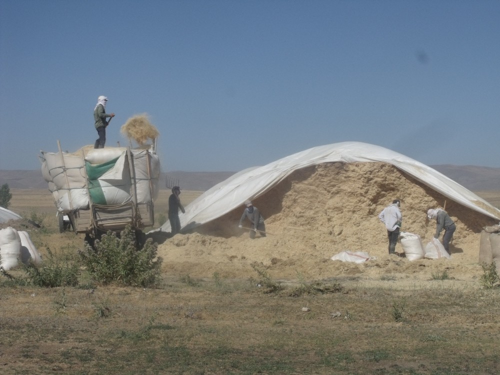 Özalplı çiftçi samandan umduğunu bulmadı 
