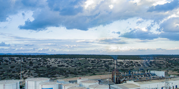 Özbekistan'dan flaş karar! Türk enerji devini seçme kararı aldılar