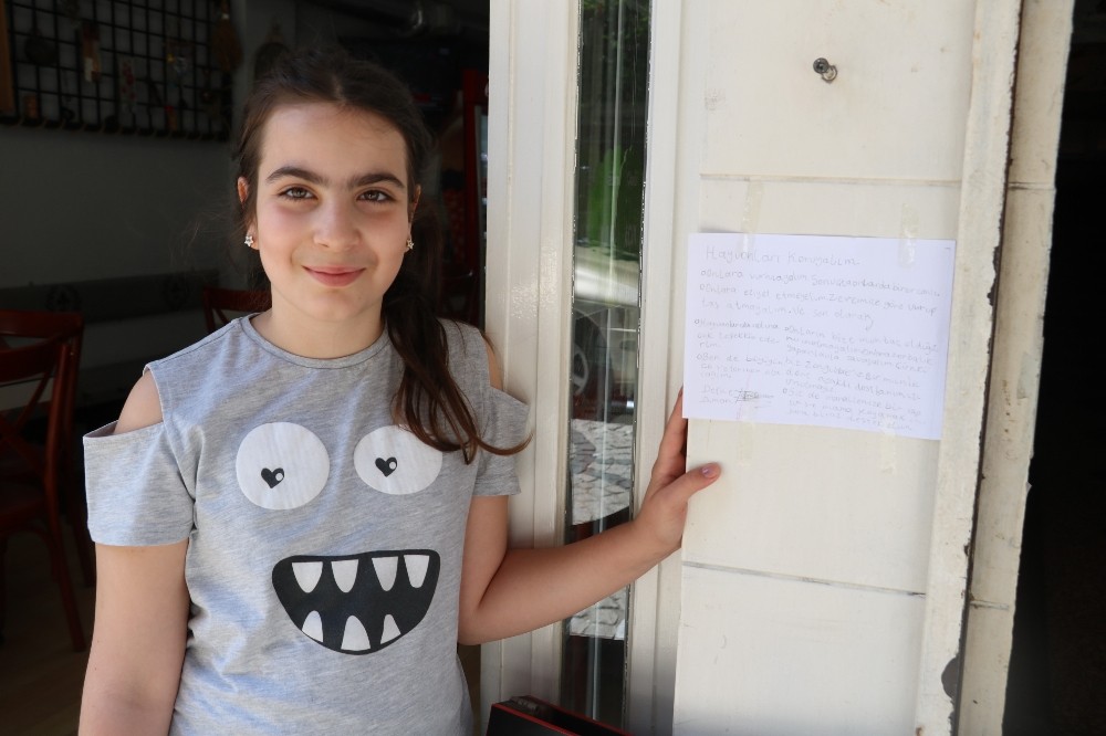 (Özel) 10 yaşındaki Defne’den sokak hayvanları için duygulandıran afiş 