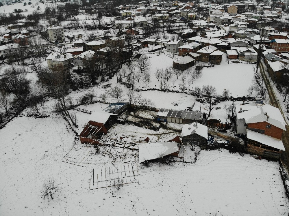 (Özel) Ahırın çatısı kara dayanamadı, 50’ye yakın koyun telef oldu 