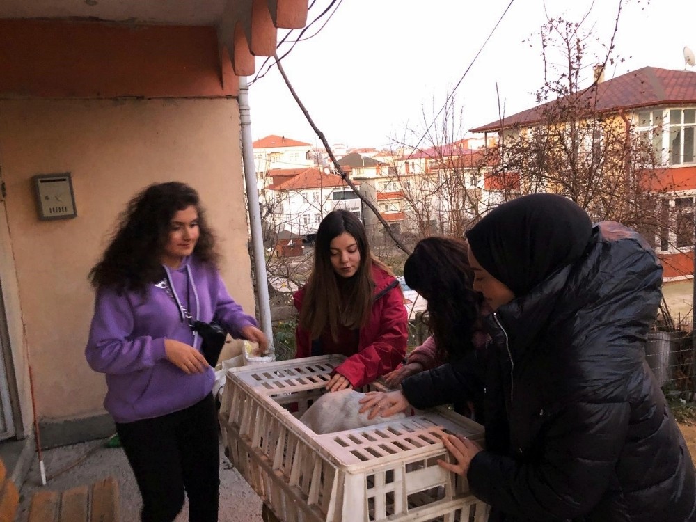 (Özel) Araç sürücüsünün çarpıp kaçtığı köpeğe üniversite öğrencileri sahip çıktı 