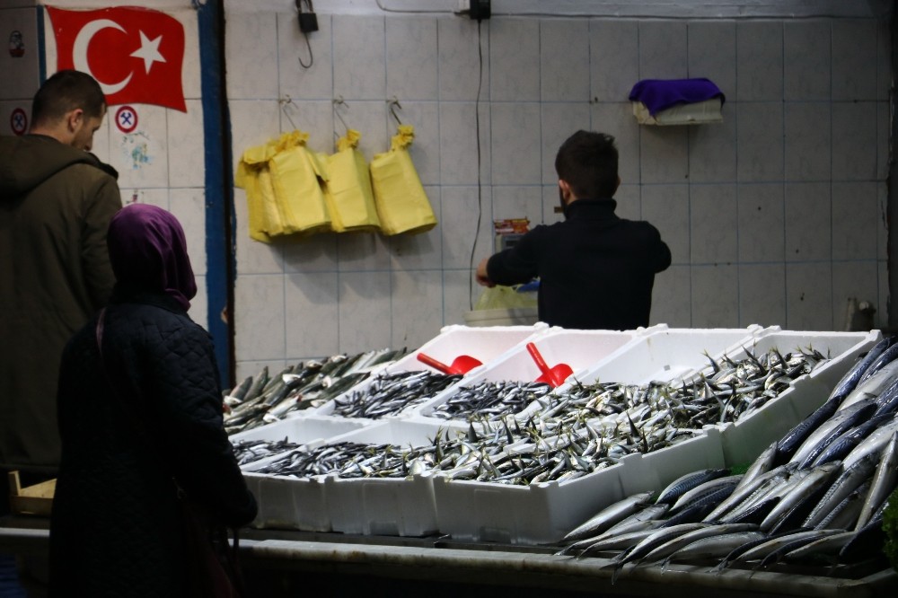 (Özel) Balıkçılar tedirgin; ’Önlem alınmazsa gelecek nesil tezgahlardaki balığı kitaplarda görecek