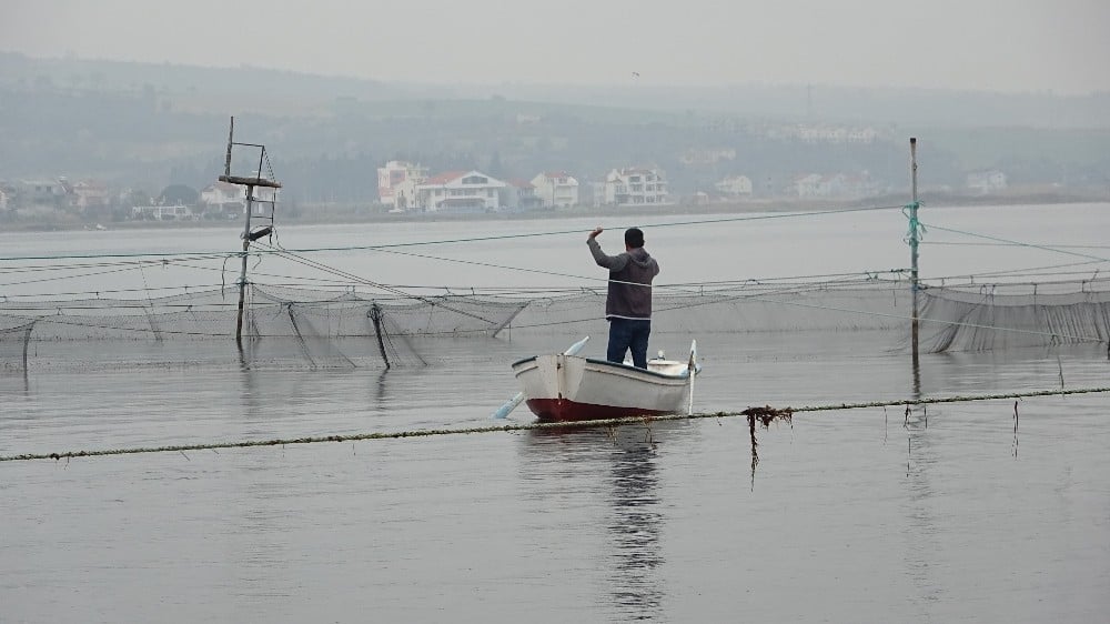 (Özel) Binlerce yıllık yöntemle günde 1 ton balık yakalıyorlar 