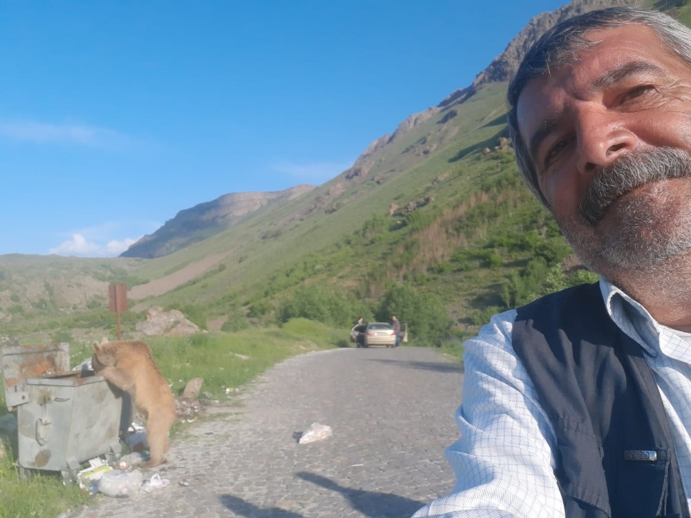 (Özel) Bitlis’in maskotu boz ayılar yeniden görüldü 