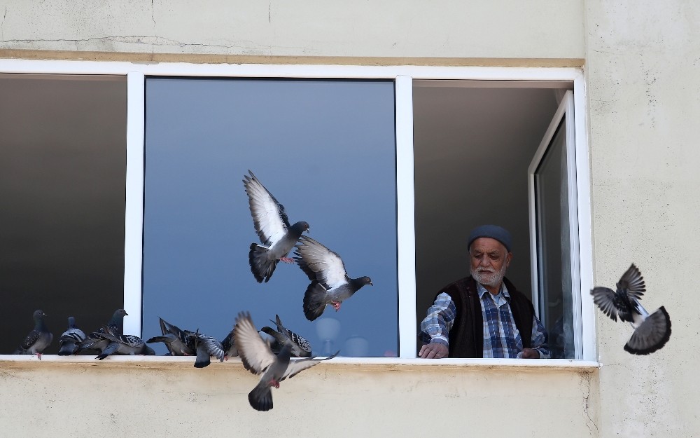 (Özel) Bursa’da sokağa çıkamayan 78 yaşındaki Hasan Amca, penceresine konan güvercinleri besledi 