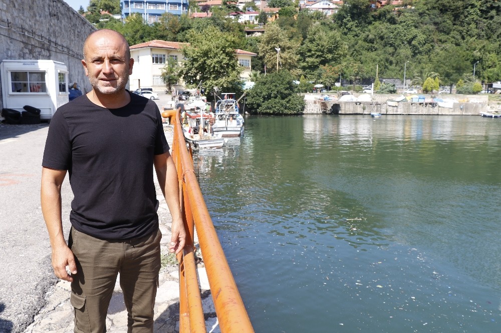 (Özel) Denize düşen yaralı güvercini kurtarmak için canını hiçe saydı 