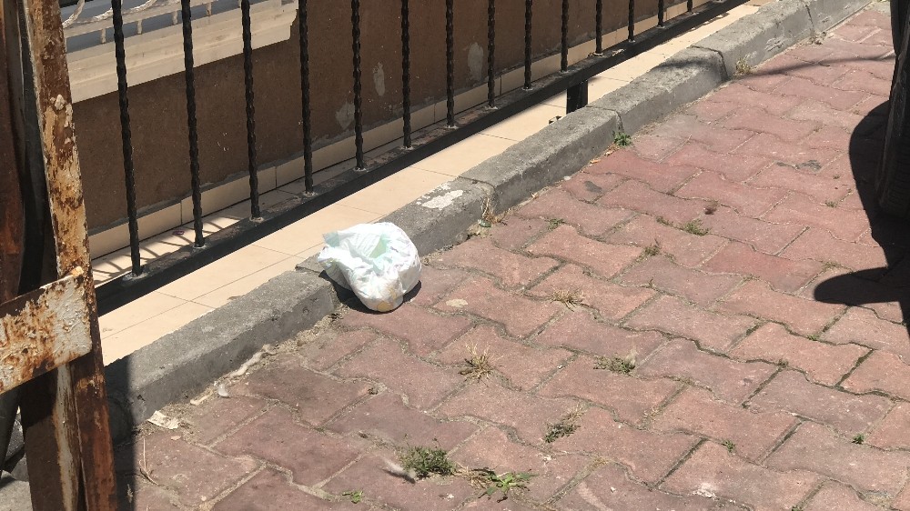 (Özel) Esenyurt’ta korkunç olay 