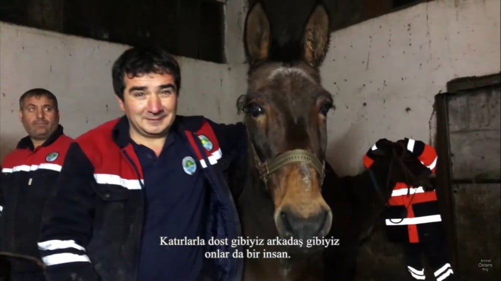 (Özel) Genç yönetmen işçi katırları belgesel yaptı 