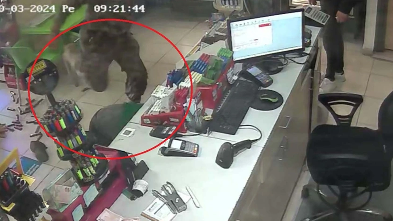 Özel harekat polisi dehşet saçtı! Valilikten açıklama geldi