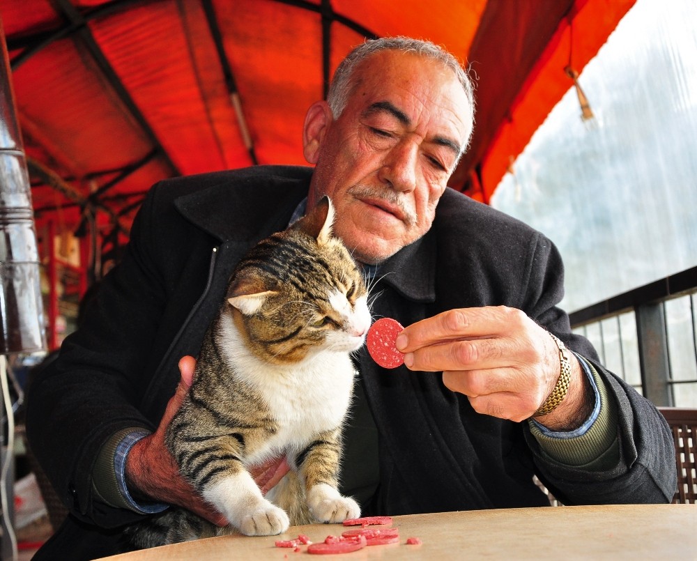 (Özel) Hayatını kurtardığı kedi ‘Muzo’ işletmesinin maskotu oldu 