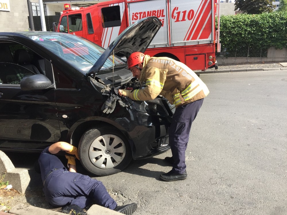 (Özel) İnatçı yavru kedi itfaiye ekiplerine zor anlar yaşattı 