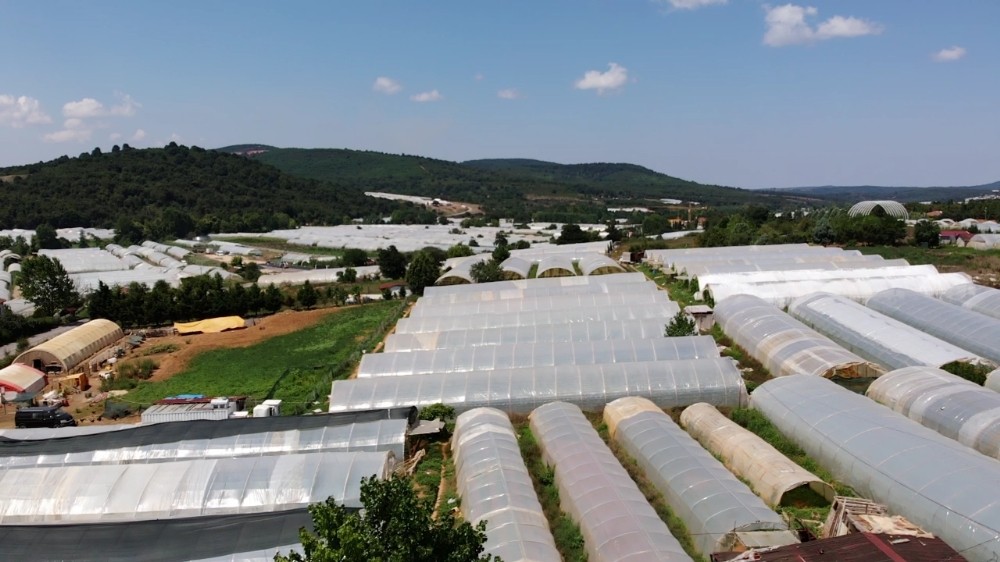 (Özel) İstanbul’un en büyük sera üretiminin yapıldığı köylerden Göçbeyli havadan görüntülendi 
