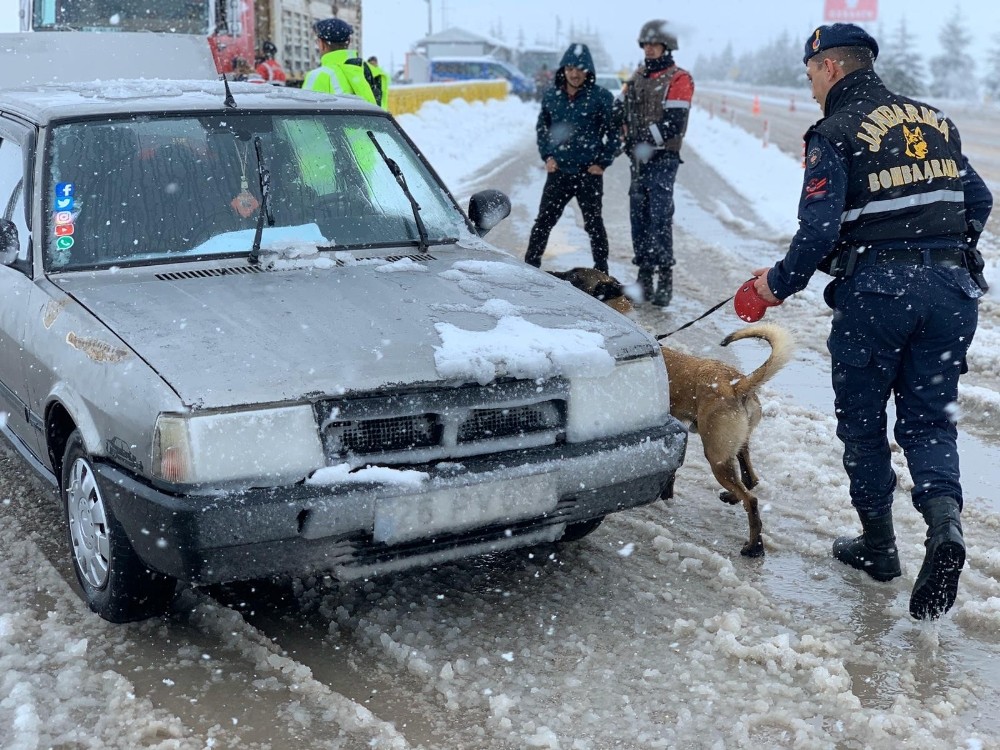(özel) Jandarma trafik ekiplerinden köpekli trafik uygulaması 