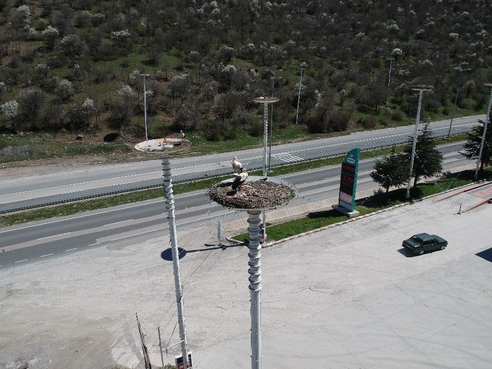 (Özel) Kanatlarında baharı getirdiler 