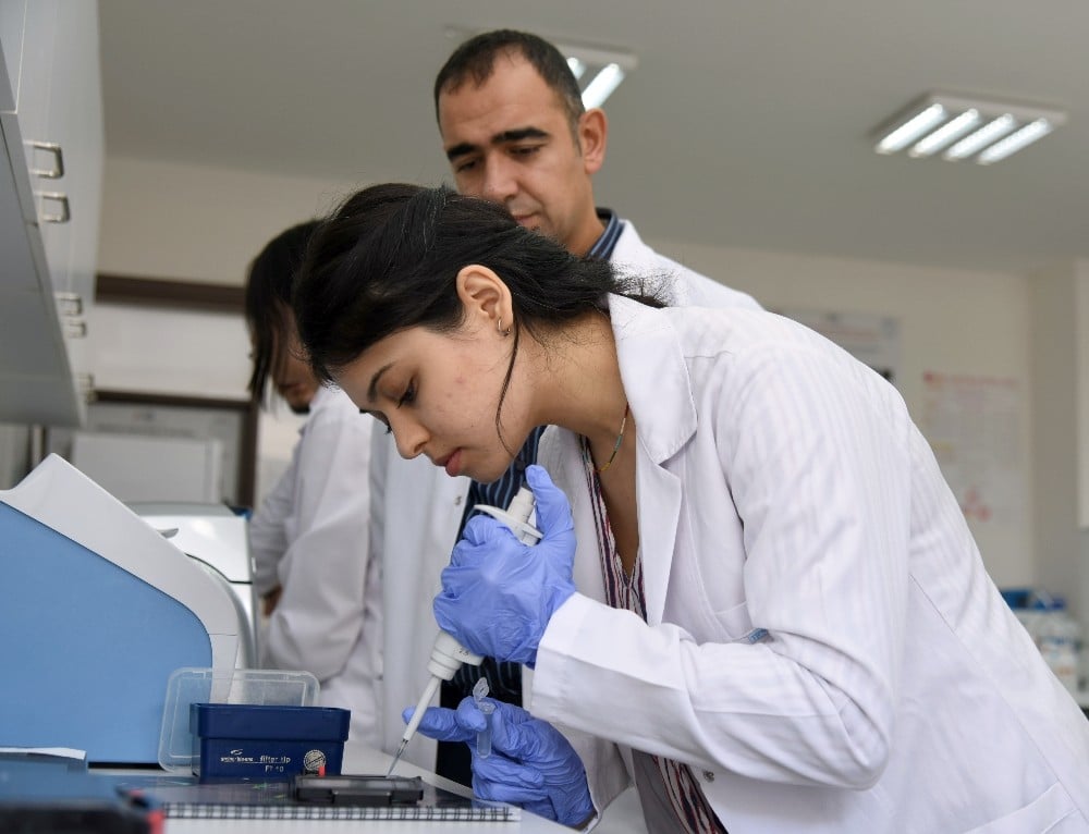 (ÖZEL) Kastamonu Üniversitesi, ithal edilen peyniri yaptığı çalışmayla millileştirecek 