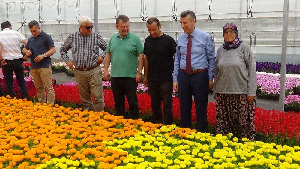 (Özel) Kazdağları’nın etekleri çiçek açacak 