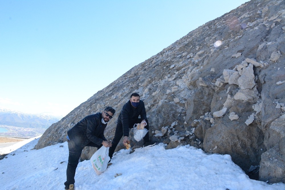 (Özel) Kış uykusundan uyanan ayılar için Nemrut Dağı’na yiyecek bırakıldı 