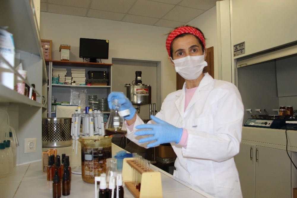 (ÖZEL) Korona virüse tedbir amaçlı propolis öneriliyor 