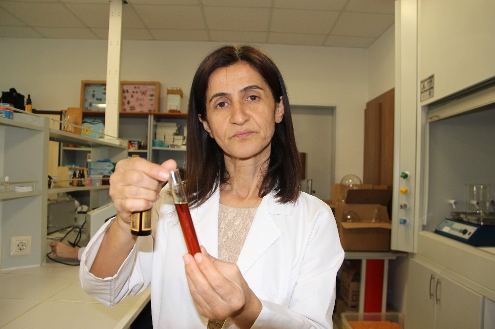 (Özel) Koronaya karşı propolis 