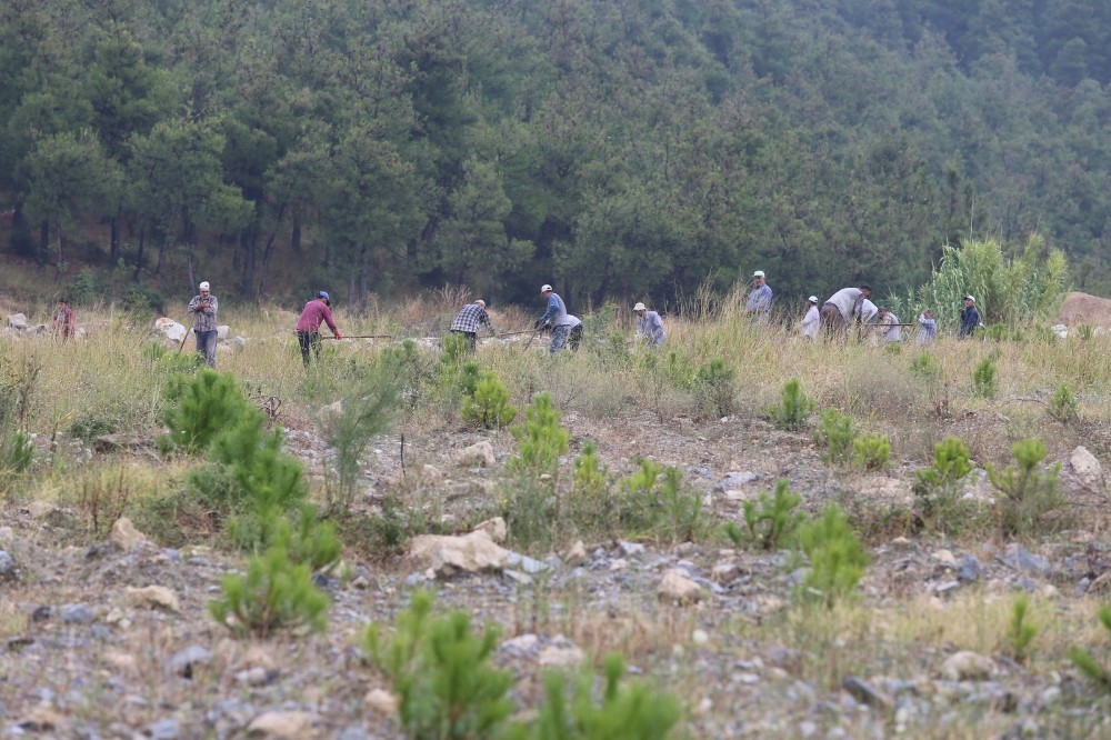 (Özel) Madenler çıkarıldı...20 bin fıstık ve akasya maden sahasına dikildi 