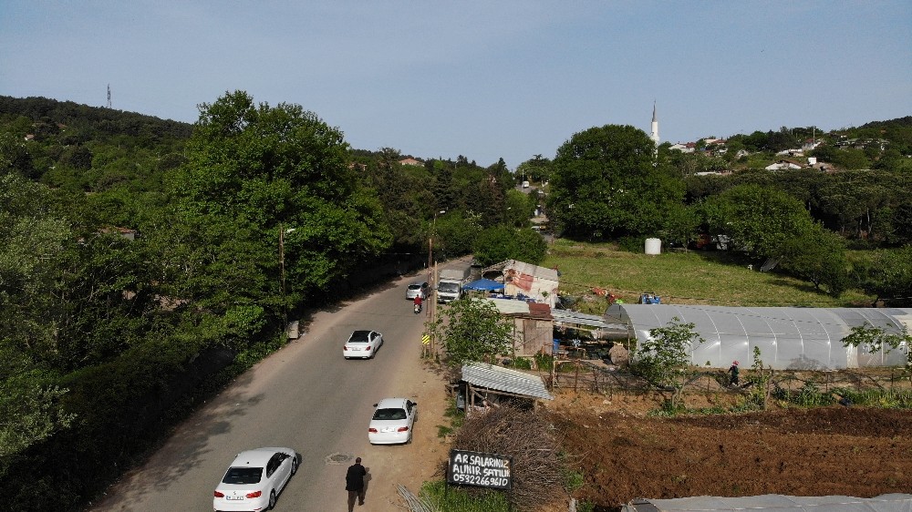 (Özel) Megakent İstanbul’da pandemi sonrası üreticiler doğal ürün siparişine yetiştiremiyor 
