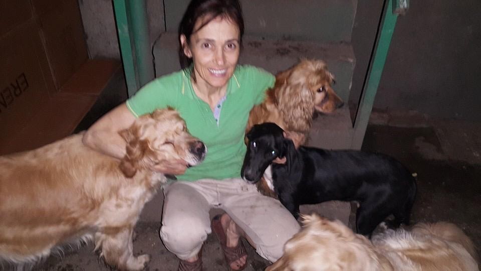 (ÖZEL) Öğrencileriyle sokak köpeklerini besliyor 