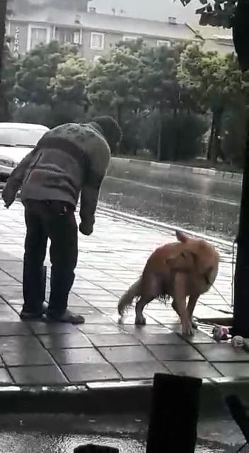 (Özel) Sağanak yağmurda köpeği yumrukladı 