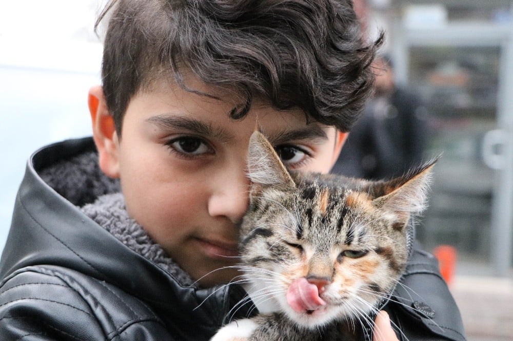 (Özel) Sokakta bulduğu kediye üzüldü, montuna sarıp veterinere götürdü 