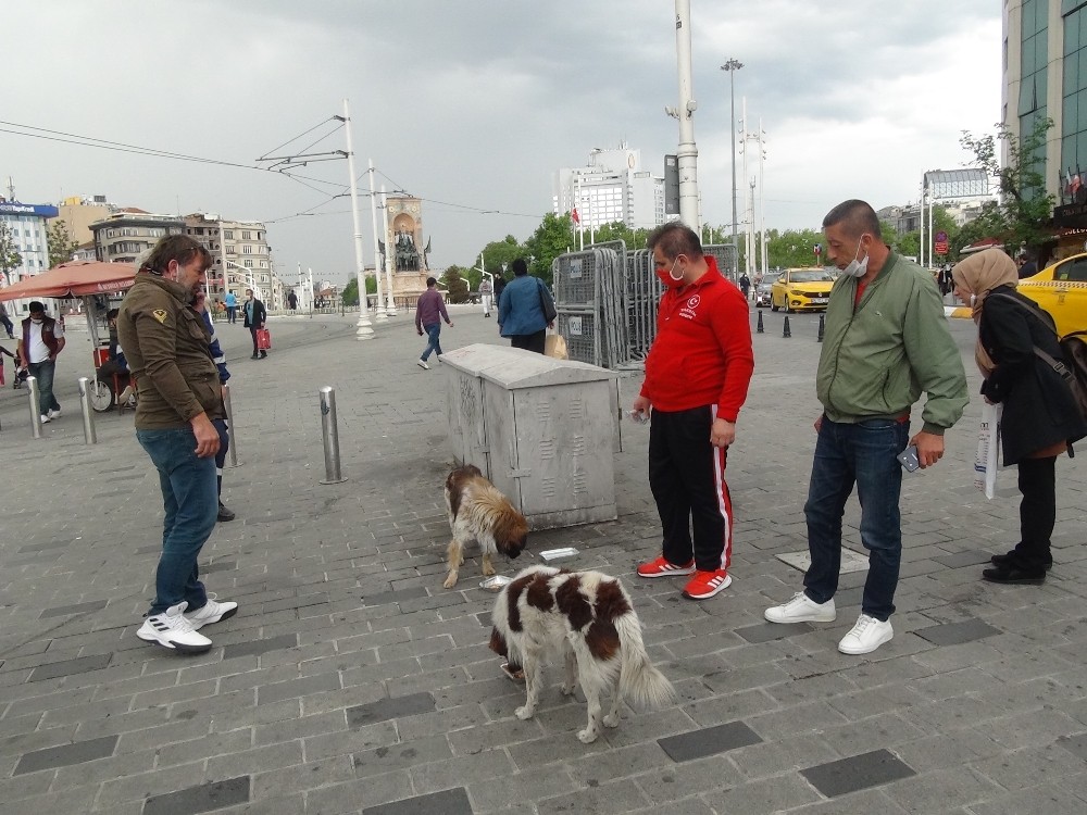 (ÖZEL) Taksim’de ayağı kırılan köpek için vatandaşlar seferber oldu 