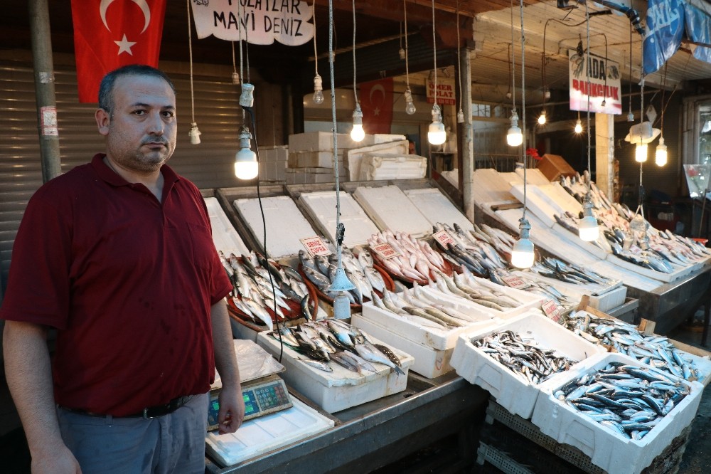 (Özel) Yasak kalktı, tezgahlar balıkla dolmaya başladı 