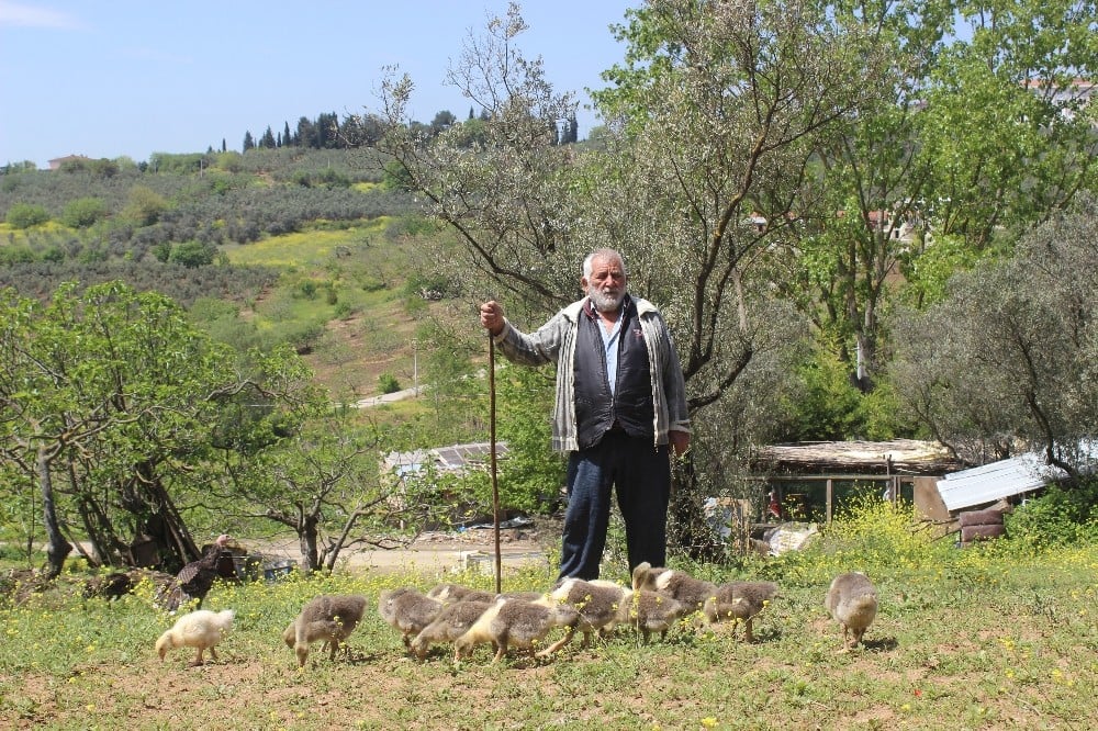 (Özel) Yaşlı adama 20 milyonluk şok... 