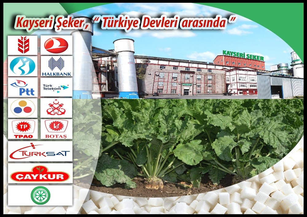 Özelleştirme İdaresi, Kayseri Şeker’deki hissesini Varlık Fonu’na devretti 
