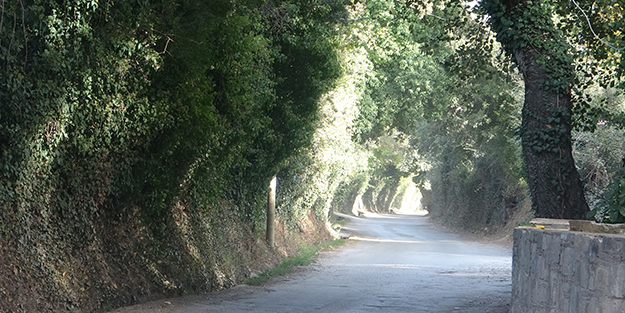 Özelliğini duyunca çok şaşıracaksınız! Bu yaylanın bir başka benzeri yok