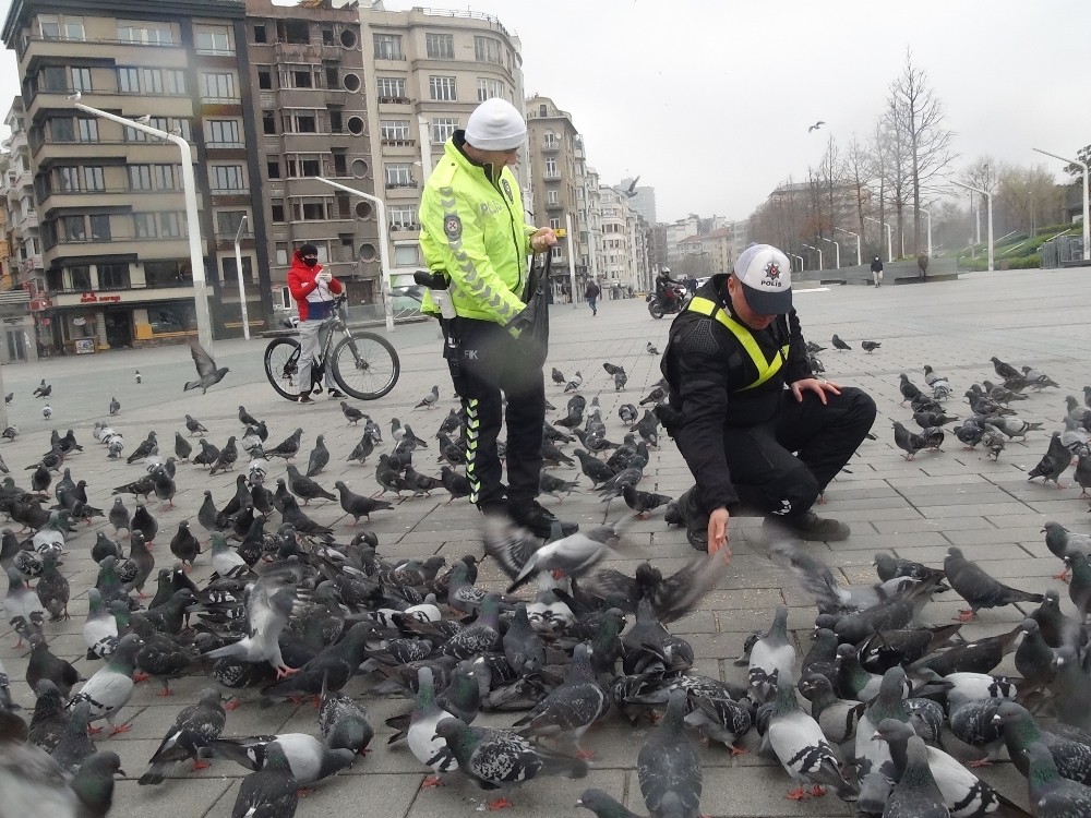 (Özel)Taksim’de aç kalan güvercinleri trafik polisleri besledi 