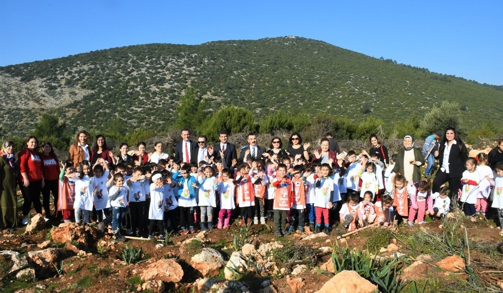 Özlem Öğretmen anısına hatıra ormanı oluşturuldu 