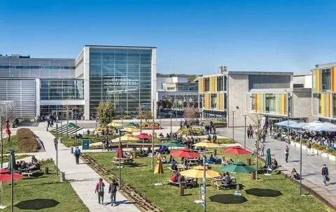 Özyeğin Üniversitesi öğretim üyesi alacak