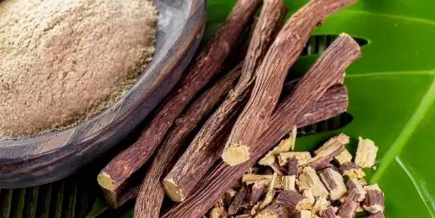 Padişahların şifa bulduğu bitki! 70 çeşit faydası var: Bir tek ölüme çaresi yok