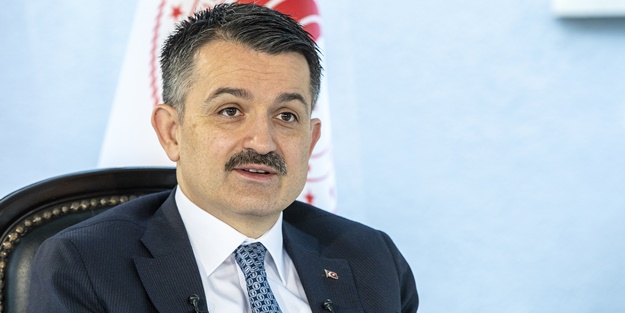 Pakdemirli: Yanan alanlar yeniden ağaçlanacak