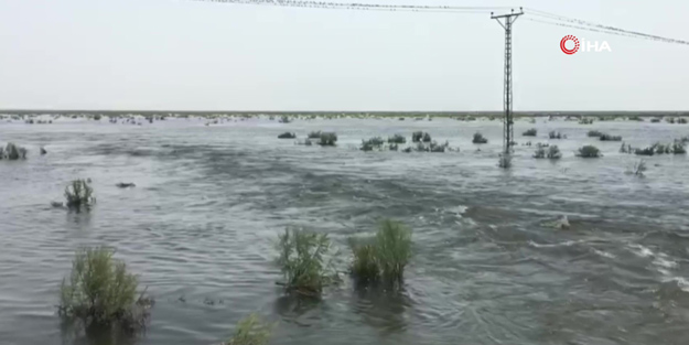 Pakistan’da felaket! 200’den fazla köyü sel vurdu