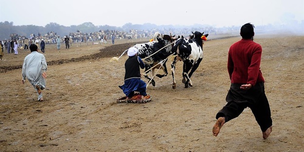 Pakistan'ın 1000 dolarlık geleneği